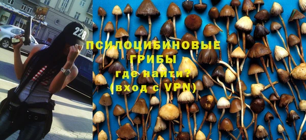 дмт Корсаков