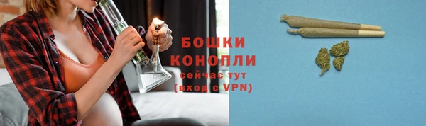 бошки Козловка