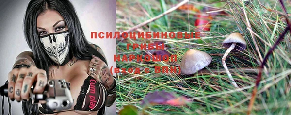 марки lsd Козельск
