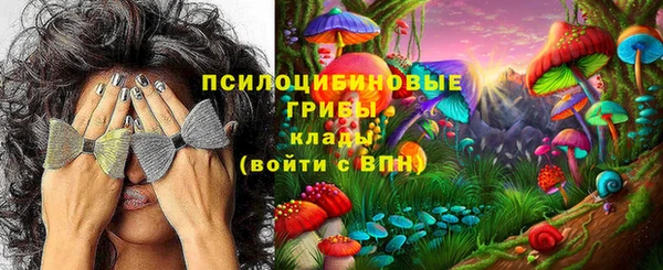 бошки Козловка