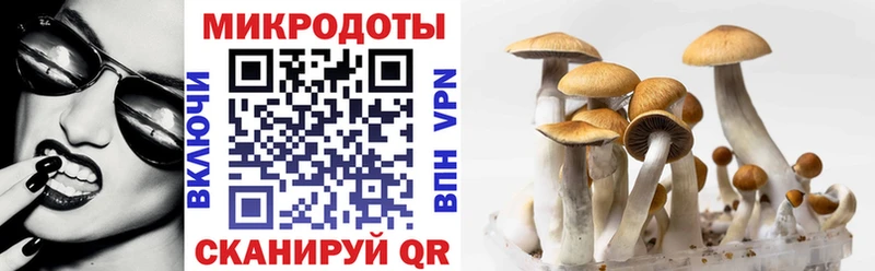 Купить закладки  Волосово  Галлюциногенные грибы ЛСД 