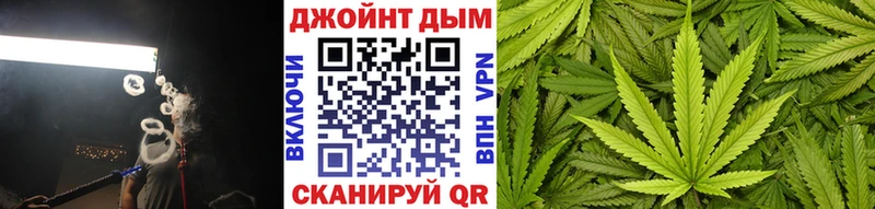 Каннабис ГИДРОПОН  Купить  Волосово 